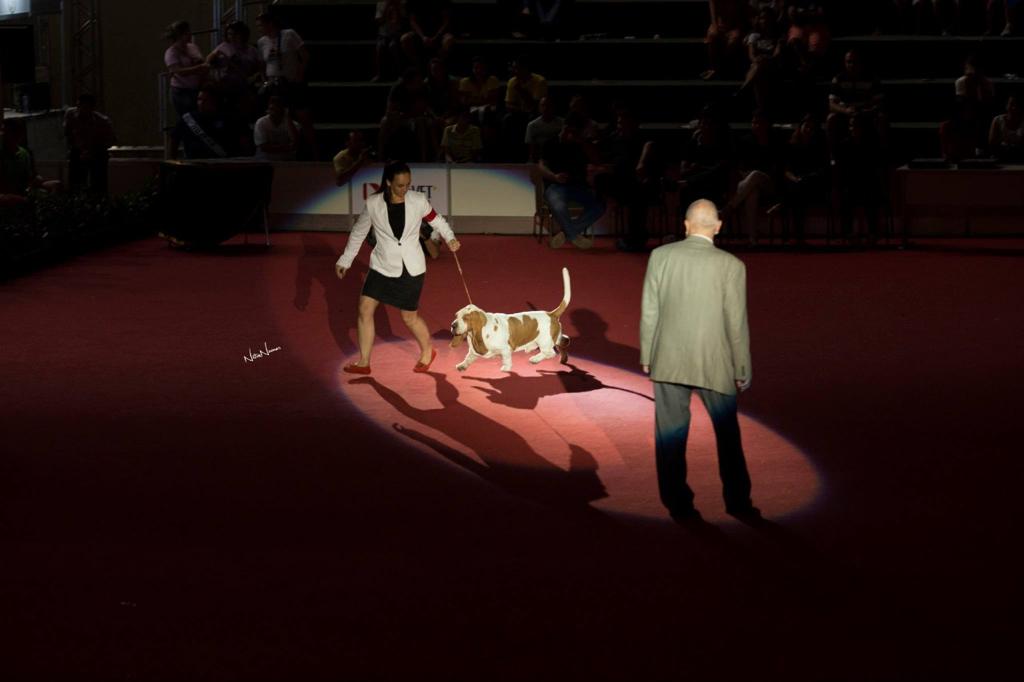 São Paulo recebe maior evento de cães do mundo.