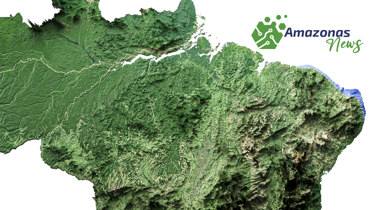 Combate ao Desmatamento: Estratégias Eficientes para Preservar o Meio Ambiente