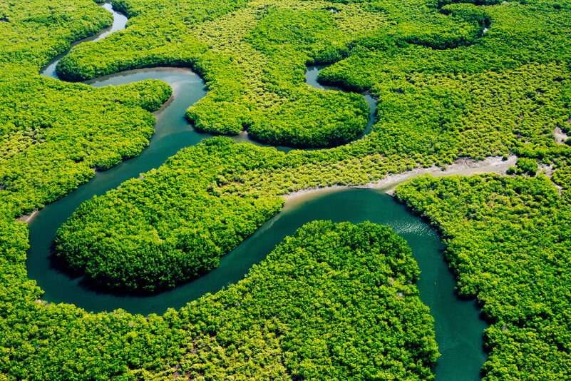 Nível do Rio Amazonas: Importância, Desafios e Impacto na Região