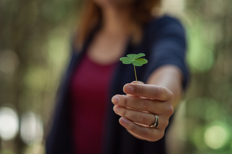 Desenvolvimento Sustentável: Conceito, Importância e Exemplos Práticos